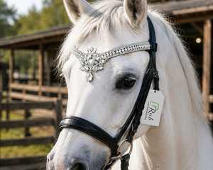 Diadema de Cristal de Lujo al por Mayor con Diamantes Brillantes Personalizados para Caballo, Accesorios de Brida Ecuestre - Product Image 5
