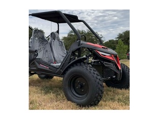 Top Quality 2025 Trail Master Cheetah 200 <b>UTV</b> FOR ADULT - Product Image 1