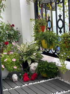 Cheap Modern 12mm Waterproof DIY Interlocking PVC Outdoor Composite <b>Decking</b> Tile Engineered Flooring Hot Sell - Product Image 6