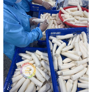 Palitos de Yuca Congelados, Raíz de Mandioca Pelada, Proveedor de Vietnam, Venta al por Mayor, Listos para Cocinar y Freír, Envasados al Vacío, a Granel, de Primera Calidad - Product Image 4