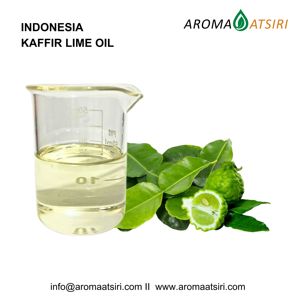 Huile essentielle de kaffir-lime premium d'Indonésie – Huile d'agrumes 100 % pure et naturelle pour l'aromathérapie, les parfums et les soins personnels - Product Image 1