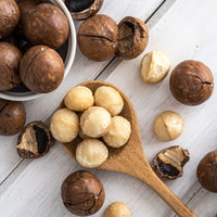 Vietnamese Premium Roasted Macadamia Nuts in Shell, Bulk Supply, OEM ODM export supply Private Label