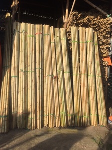 MITvn Bamboo Pole Raw Materials 2-9cm Natural Tonkin <b>Canes</b> Stakes 50cm-200cm <b>Garden</b> Plant Support for Home - Product Image 1