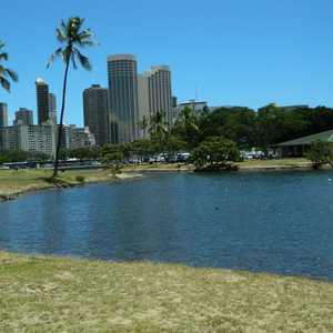 Aquatic Wastewater Reduction <b>Pond</b> Clarifier <b>Cleaner</b> & Wash Product for <b>Pond</b> Management - Product Image 6