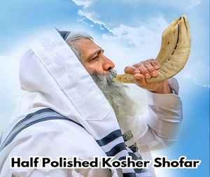 Shofar authentique traditionnel en corne de bélier, fait main, forme personnalisée, en matériaux écologiques et biologiques, pour les fêtes juives et la maison - Product Image 6