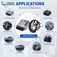 Kit de faisceau de câblage personnalisé pour BMS automobile, faisceau de câblage pour capteurs ECU ECM