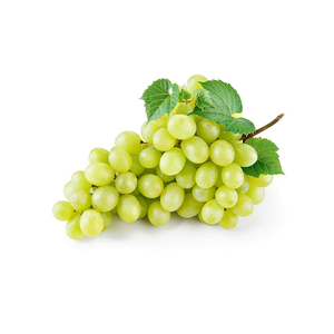 Uvas frescas disponibles para la producción de bebidas y requisitos de procesamiento comercial - Product Image 3