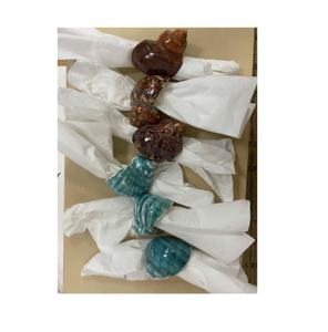 Haute qualité grande perle entière Turbo coquillages pour la maison décorations de mariage et fête coquillage souvenir cadeaux sandy99gdgmailcom - Product Image 6