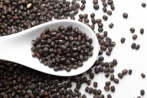 Nouvelle récolte de haricots Urad indiens 100% purs, séchés, de haute qualité, 25 kg, légumineuses pour le commerce de gros mondial par FitTree International - Product Image 4