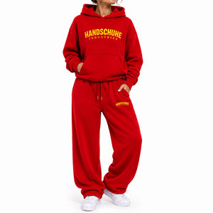 Conjunto deportivo informal de dos piezas para mujer, de manga larga, para uso diario en otoño y moda urbana. - Product Image 1