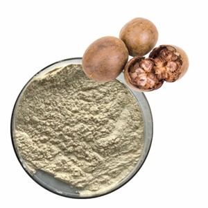 Extrait de Fruit du Moine de Qualité Alimentaire en Vrac 20:1, Poudre de Fruit du Moine Séchée 100% Pure et Naturelle, Riche en Mogrosides, Prix de Gros - Product Image 5