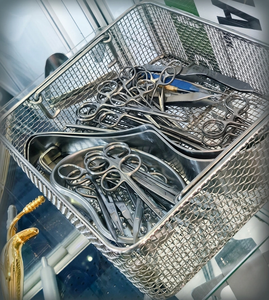 Ensemble d'instruments chirurgicaux pédiatriques de base de haute qualité - Spécialité Urologie et Vessie |   Acier inoxydable - Product Image 2