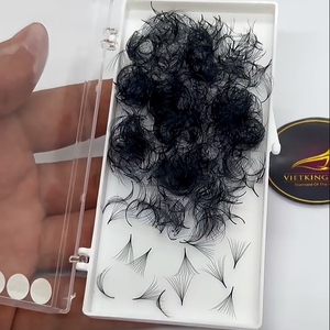 Eyelash <b>Cluster</b> Extensions Handmade Synthetic Hair High Quality 10D/14D/16D/20D Natural Look Black Matte Pointy Base Eco Box - Product Image 5