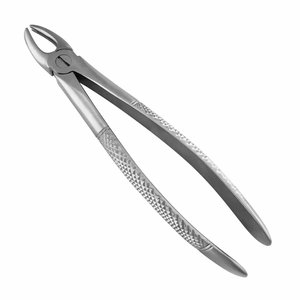 Forceps d'extraction dentaire à motif anglais, instrument chirurgical en acier inoxydable pour chirurgie buccale par ORTHO GENIX - Product Image 3