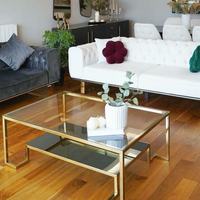 Mesa de Centro Rectangular de Acero Inoxidable y Vidrio Templado para Sala de Estar, Oficina, Casa, Villa o Apartamento, Estilo Lujoso