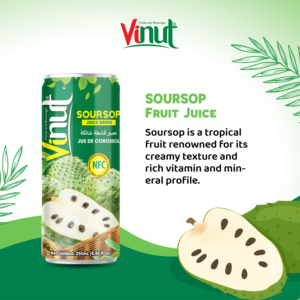 Boisson naturelle 250ml de jus de corossol NFC à partir de vrai jus fabriqué dans une usine au Viet Nam (OEM, ODM) - Product Image 3