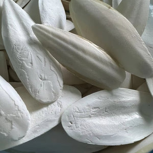 Hueso de sepia para pájaros, loros juguetes para masticar hueso de sepia cruda para caracoles tortuga periquitos jaula pájaros // Sra. Lima - Product Image 1