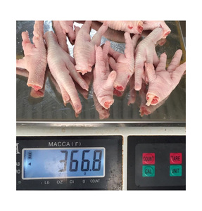 Pattes de poulet congelées en gros, qualité supérieure, processus BQF, durée de conservation de 24 mois, approvisionnement pour l'exportation destiné aux fabricants alimentaires - Product Image 3