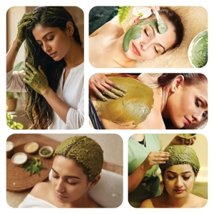 Poudre de Sidr en vrac pour les soins capillaires et les applications beauté, offrant des bienfaits pour le nettoyage du cuir chevelu, la douceur et la croissance des cheveux. - Product Image 6