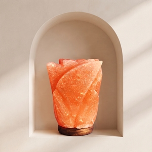 Lámpara de Cristal de Sal Rosa del Himalaya Natural, Iluminación de Mesa con Forma de Flor Única para Interiores del Hogar y Venta al por Mayor - Product Image 3