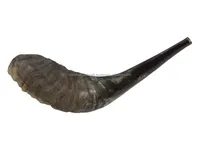 Shofar artisanal en corne naturelle semi-polie, anti-odeur, décoratif, fonctionnel, cadeau juif pour homme ROYAL CRAFT