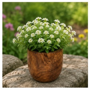 Maceta Redonda Moderna Ecológica de Madera de Mango, Hecha a Mano, de Madera Maciza, para Suculentas y Uso en Jardines Interiores - Product Image 4