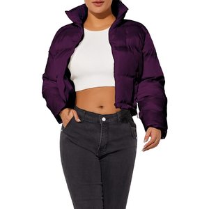 Blouson court matelassé coupe-vent zippé pour femme, chaud et épais, haute qualité, collection automne-hiver 2026, vêtements d'extérieur, vente en gros OEM - Product Image 2