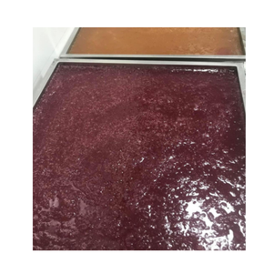 VENTE CHAUDE BONBONS INSPIRÉS À 2024 | SEAMOSS GUMMIES MIX FRUIT MER MOUSSE CONFITURE - Product Image 5