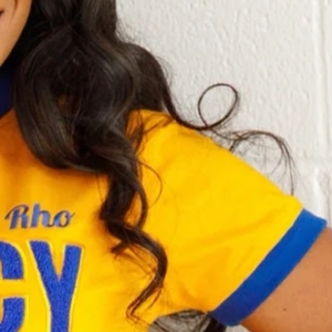 Camiseta de chenilla SGRho Legacy para mujer, con letras griegas bordadas personalizadas, cuello redondo, estilo clásico de hermandad, moda al por mayor - Product Image 5