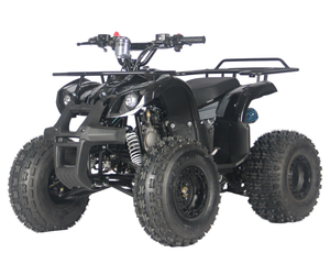<span class=keywords><strong>Quad</strong></span> électrique tout-terrain 110cc pour enfants et jeunes, nouveau design, vente en gros, certifié CE, directement de l'usine - Product Image 4