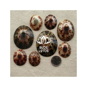 Concha de Loto Azul Ecológica de Primera Calidad para Joyería, Forma Ovalada, Superficie Pulida, Estilo Costero Único - Product Image 1