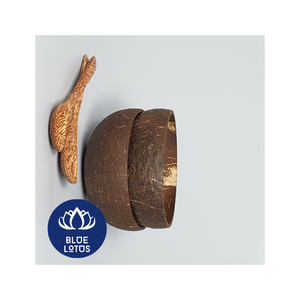 Bol en Coque de Noix de Coco 100% Naturel, Vaisselle Artisanale Durable pour Smoothies - Vente Flash - Product Image 2