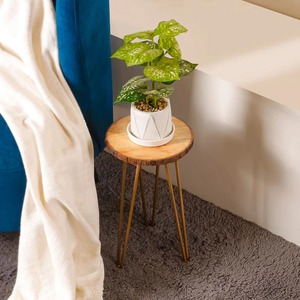 Pot de plante rond en bois moderne de luxe avec incrustation de nacre et support métallique pour salon, bureau, patio - Product Image 3