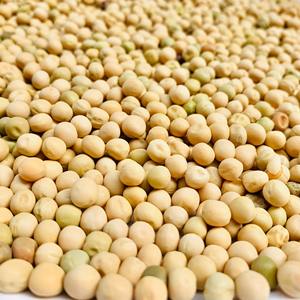 Urad Dal a granel para platos saludables y recetas tradicionales con un sabor rico. Urad Dal confiable por su calidad y frescura. - Product Image 5