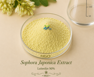 HGO Factory Direct Supply Extrait de sophora japonica naturel pur (qualité alimentaire) Spécification lutéoline 95% (extrait standardisé) - Product Image 2