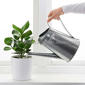 Arrosoir en acier inoxydable, arrosoir en métal galvanisé pour plantes et fleurs d'intérieur et d'extérieur - Product Image 6