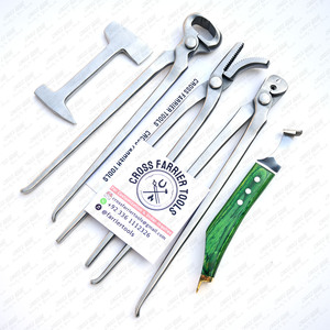 Kit d'instruments vétérinaires de haute qualité 5 pièces pour les soins du cheval Couteau à sabot de haute qualité Tampon Marteau Coupe-ongles Fer à cheval pour - Product Image 6