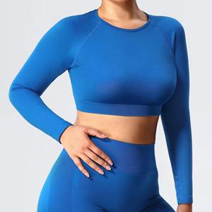 Conjunto Deportivo de Manga Larga sin Costuras con Logotipo Personalizado al por Mayor para Mujer, Pantalones Cortos de Cintura Alta, Fabricante de Ropa Deportiva de Marca Privada - Product Image 2