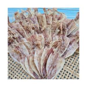 PRODUIT PHARE 2026 Calamars séchés en rouleaux pour collations rapides et décorations culinaires, pur, frais, propre, sûr, qualité standardisée - Product Image 4