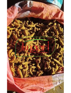 Poudre de curcuma crue séchée AD, saine et biologique, pour la préparation quotidienne des repas à la maison, directement de l'usine à bas prix - Product Image 4