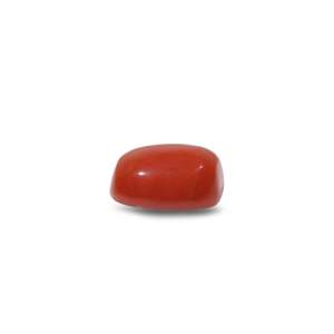 Natural Loose Gemstone-11.55 Carat Certified Red Coral-Wholesale Quality - Product Image 3