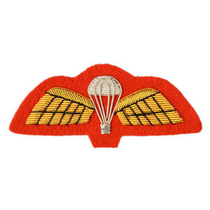 Insignias Bordadas a Mano de Alta Calidad con Nombre y Rango de Oficiales en 3D, Personalizadas OEM, para Blazers, Sombreros y Telas de Lona - Product Image 1