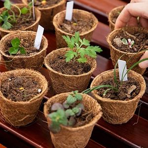 Pot en fibre de coco écologique pour jeunes plantes, semis et décoration moderne des espaces verts - Product Image 1