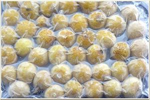 Servicio de Alimentos: Longan Congelado, Procesamiento Limpio - Product Image 5