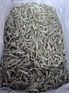 Anchoas Secas al por Mayor, Pescado Seco, Fabricante de Pescado Seco, Limpio y Clasificado, Pescado Seco a Granel - Product Image 5