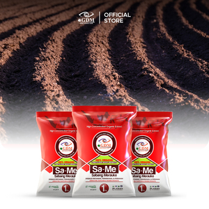 Engrais granulaire 100% biologique, booster de sol bio-organique pour l'agriculture, les plantations et l'aquaculture - Product Image 1