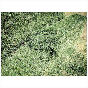 หญ้าอัลฟัลฟ่าธรรมชาติแบบเป็นก้อนสำหรับผู้จัดจำหน่ายเพื่อการส่งออก ผู้ค้าส่ง ผู้ค้าปลีก และฟาร์มปศุสัตว์ - Product Image 4