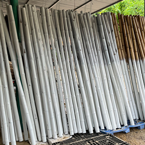 เสาไม้ไผ่ธรรมชาติสำหรับรองรับต้นไม้ในสวน โรงงานผลิตในเวียดนาม ผู้ผลิตและผู้ส่งออกเสาไม้ไผ่จำนวนมาก - Product Image 1