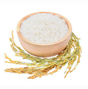 Approvisionnement fiable en vrac de riz jasmin pour les importateurs, les distributeurs, les chaînes de supermarchés et les acheteurs internationaux de l'industrie alimentaire - Product Image 1