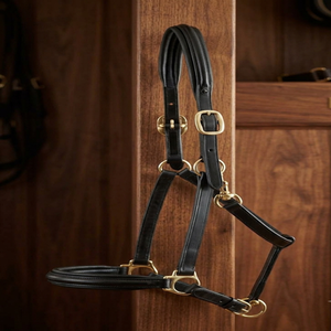 Longe de cheval robuste en cuir noir et marron, rembourrée et souple, avec ferrures en laiton, et embout de nez rembourré - Product Image 5